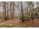 Wooded view of the backyard at 4618 Pooh Corner Dr, Raleigh, NC 27616