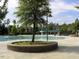 Relaxing community pool with a mature tree and covered picnic area at 9510 Dellbrook Ct, Raleigh, NC 27617