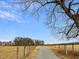 Long gravel driveway leading to the home with fencing on both sides of the drive at 9550 Silk Hope Liberty Rd, Siler City, NC 27344