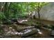 Serene backyard scene featuring a natural stream with stone accents and lush, wooded surroundings at 2658 Davis St, Raleigh, NC 27608