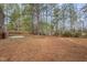 Wide backyard with a wooded perimeter and sparse ground cover at 3102 Seth Dr, Sanford, NC 27330