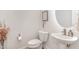 Half bathroom features pedestal sink, modern fixtures, neutral color palette, and stylish decor at 349 Shadow Falls Dr, Wendell, NC 27591