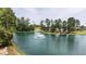 Scenic view of a pond with a fountain, surrounded by lush greenery, a small playground and charming walking bridge at 729 Daniel Ridge Rd, Wendell, NC 27591