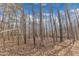 Image of a wooded area filled with tall trees and a ground covered with leaves at 121 Madeline Ct, Youngsville, NC 27596