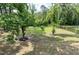 Expansive backyard featuring lush greenery, mature trees, and a classic black metal fence at 213 W Weatherford Dr, Angier, NC 27501