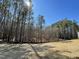 A bright yard with a beautiful sunny sky and natural forestry at 223 Magnolia Run Way, Benson, NC 27504