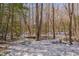 Picturesque wooded area with snow-dusted ground and tall trees, offering a serene natural setting in winter at 659 Willard Dr, Creedmoor, NC 27522