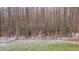 Idyllic wooded area with snow-dusted ground and tall trees, providing a peaceful natural backdrop in winter at 659 Willard Dr, Creedmoor, NC 27522