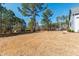 Wide-angle view of the expansive backyard showcasing its size, trees, and partially-visible surrounding houses at 8621 Bishop Pine Ln, Wake Forest, NC 27587