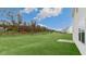 Expansive backyard featuring newly installed green grass, bordered by trees and neighboring properties at 139 Ethel Ln, Angier, NC 27501
