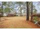 Spacious backyard with shed and mature trees offering a serene outdoor space at 1729 Augustus Dr, Rocky Mount, NC 27801