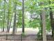 A backyard view with a fence and lush green trees providing privacy at 1522 Kudrow Ln, Morrisville, NC 27560