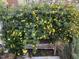 Exterior featuring a bench surrounded by vibrant, flowering bushes at 3320 Derbyshire Pl, Raleigh, NC 27604