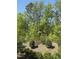 View of backyard with lush green trees and bushes provides a private, wooded feel at 468 Talons Rest Way, Cary, NC 27513