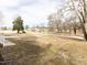 Spacious front yard showcasing mature trees and well-maintained landscaping at 4704 Upchurch Ln, Wake Forest, NC 27587