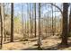 Wooded backyard area with a stone patio and mature trees offering shade and privacy at 577 Woodbury, Pittsboro, NC 27312
