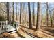 A backyard deck and stone walkway surrounded by towering mature trees and natural foliage at 577 Woodbury, Pittsboro, NC 27312