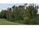 Scenic green space with a walking path surrounded by lush trees at 729 Colby Pl, Durham, NC 27713