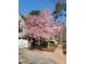 This charming home boasts a beautiful cherry blossom tree and attached two-car garage at 10305 Whitestone Rd, Raleigh, NC 27615