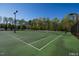 Green tennis court with a net, surrounded by trees and lighting for evening play at 401 River Falls Dr, Apex, NC 27539