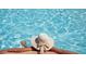 Person relaxing by the pool with clear, blue water on a sunny day at 162 Lookout Rdg # 677, Pittsboro, NC 27312
