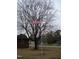 Exterior showing a large tree and an American flag in the front yard at 110 N 8Th St, Erwin, NC 28339