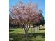 Yard with a large blossoming tree, adding vibrant color to the landscape at 110 N 8Th St, Erwin, NC 28339