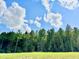 Forested land in a large plot, with a sunny blue sky and clouds above at 2644 Catheys Creek Cir, Wendell, NC 27591