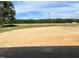 View of large flat backyard area with treeline in the distance under partly cloudy skies at 316 Olivia Crossing Ct # 11, Four Oaks, NC 27524