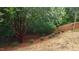 Backyard features decorative shrubbery with a privacy fence along the property line at 4319 White Cliff Ln, Durham, NC 27712