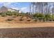 A natural slope landscaped with evergreen bushes in the backyard at 501 Historic Dr, Hillsborough, NC 27278