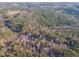 Expansive aerial shot displaying the home's setting within a vast forest, emphasizing privacy at 5171 S River Rd, Lillington, NC 27546
