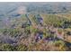 Breathtaking aerial view showing the home's position in a sprawling, densely forested area at 5171 S River Rd, Lillington, NC 27546