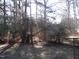 Backyard area covered with trees and some sparse sunshine at 105 S Elizabeth St, Henderson, NC 27536