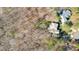 An aerial view of a large house surrounded by trees and a lush green lawn at 4009 Brittabby Ct, Raleigh, NC 27606