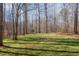 View of expansive backyard with green grass and trees, offering plenty of room at 4009 Brittabby Ct, Raleigh, NC 27606