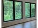 Bright room highlighting big windows and natural light showcasing lush green backyard view at 3412 Rock Creek Dr, Raleigh, NC 27609