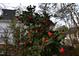 Lush bush with red flowers, set against the exterior of the white house behind it at 1101 Sunset Ave, Rocky Mount, NC 27804