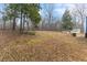 Expansive backyard with mature trees and lush greenery, ideal for outdoor activities at 12507 N Roxboro St, Rougemont, NC 27572