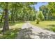 Gravel driveway leading to a wooded property with mature trees and lush greenery at 12507 N Roxboro St, Rougemont, NC 27572