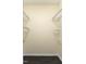 Walk-in closet with wire shelving and gray wood-look flooring at 117 Crabwall Ct, Holly Springs, NC 27540
