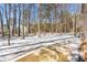View of the backyard featuring trees and a concrete patio covered in partial snow at 316 Russ Rd, Smithfield, NC 27577