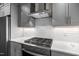 Close-up of a stainless steel oven and range with gray cabinets and white backsplash at 917 S Blount St, Raleigh, NC 27601