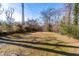 Backyard with a flat grassy area surrounded by trees and shrubs, under a blue sky at 1211 N Guthrie Ave, Durham, NC 27703