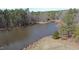 Scenic aerial view of a serene pond surrounded by lush green trees at 3344 Cobb Farm Trl, Mebane, NC 27302