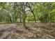 A wooded backyard features mature trees providing shade and privacy at 915 E Holly St, Rocky Mount, NC 27801