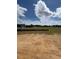 Wide view of backyard of property in a sunny day under cloudy blue sky at 190 Sage Ln # 015, Four Oaks, NC 27524