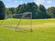 Well-maintained soccer field with lush green grass at 2441 Campus Shore # 402, Raleigh, NC 27606