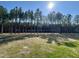Expansive backyard with a line of towering pine trees in the background at 377 Earnest Way, Kenly, NC 27542