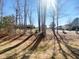 Backyard featuring winter trees, green grass, and blue sky at 3804 Prince Noah, Wake Forest, NC 27587